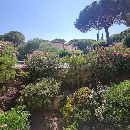 Sublime 2 Pieces Avec Clim, Terrasse, Piscine Et Parking Prive, Proche Plages Et Commerces A - Fr-1-780-20